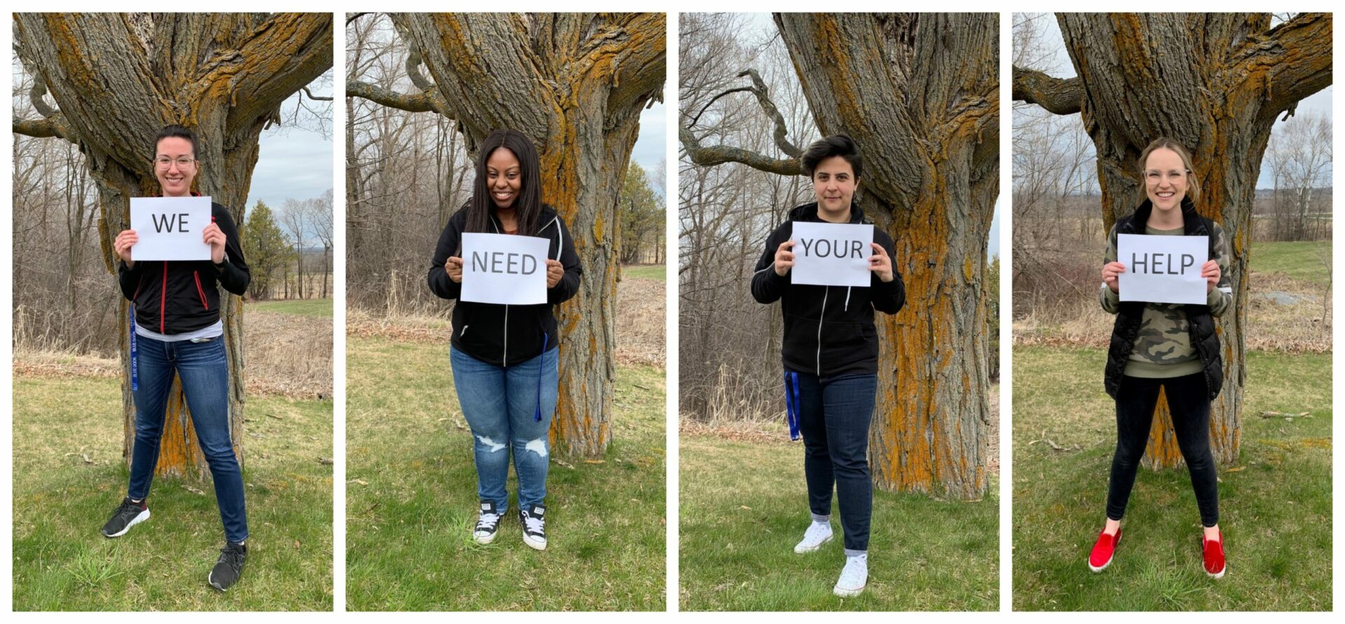 York Region landlords asked to help during coronavirus crisis Blue Door