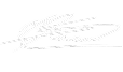 michael scarano signature